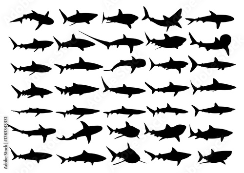 The big set silhouettes of big sea sharks.