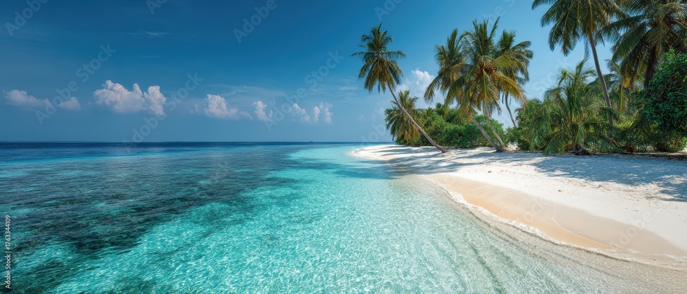 Fototapeta premium Tropical Beach Paradise Scene Azure Water White Sand Palm Trees in Maldives Island Serenity Aerial View