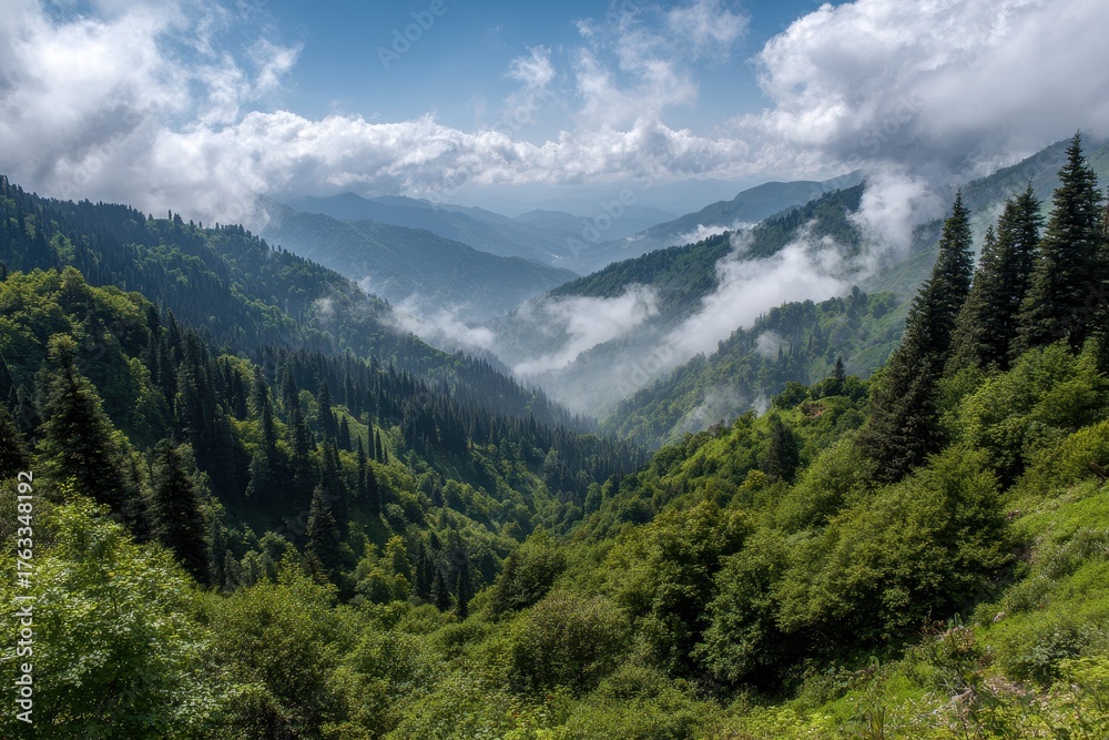 Fototapeta premium Iran Mazandaran: Se-hezar Forest, a Tourist Ecotourism Destination in Caspian Nature