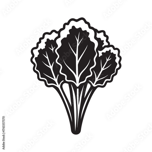 Kale bundle silhouette design, leafy green vegtable clipart