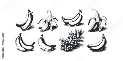 Various Banana Piles and Bunch of Grapes Hand Drawn Art