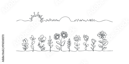 Continuous line drawing of diverse wildflowers and a rising sun