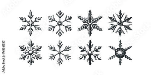 Collection of eight unique snowflake graphics
