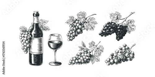 Black and white drawing of wine bottle and grapes
