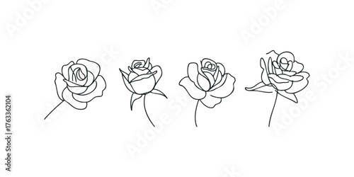 Four delicate line art roses with stems