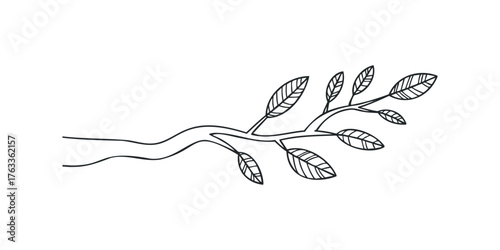 Hand Drawn Twig with Leaves Line Art