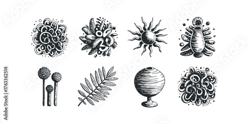 Collection of Abstract Organic Hand Drawn Symbols