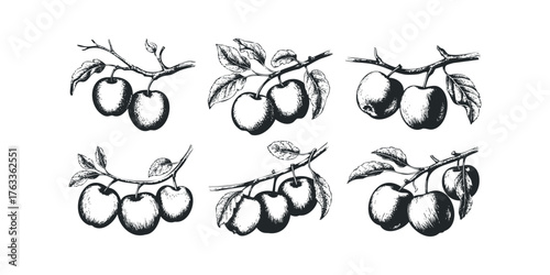 Six hand-drawn apple branches with leaves and fruit