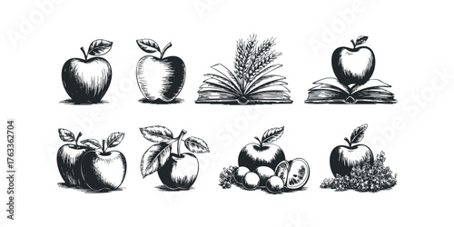 Collection of hand-drawn fruit and book illustrations
