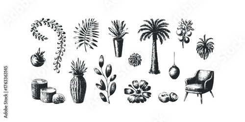 Assorted botanical elements and furniture in sketch style