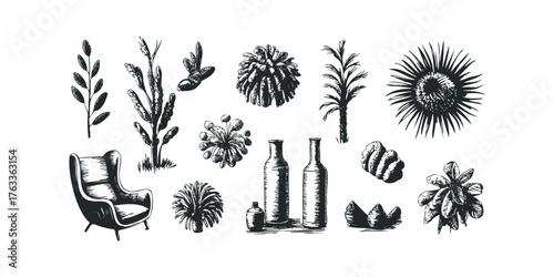 Collection of Ink Drawn Botanicals and Furniture Objects