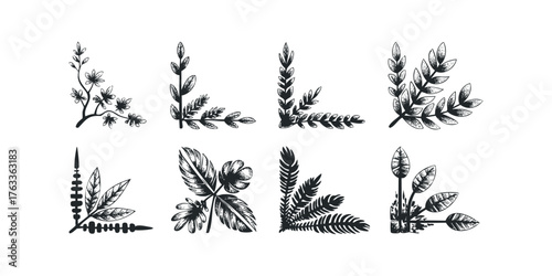 Collection of eight decorative floral and leaf corner elements