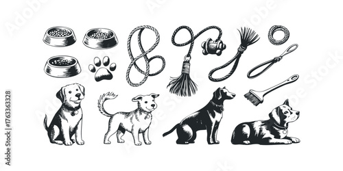 Collection of dogs and pet accessories hand-drawn sketch