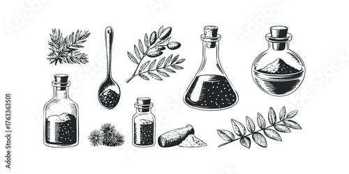 Herbal extracts in glass vials with botanical branches
