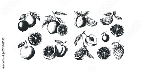 Assorted Fruits With Leaves In Sketch Style