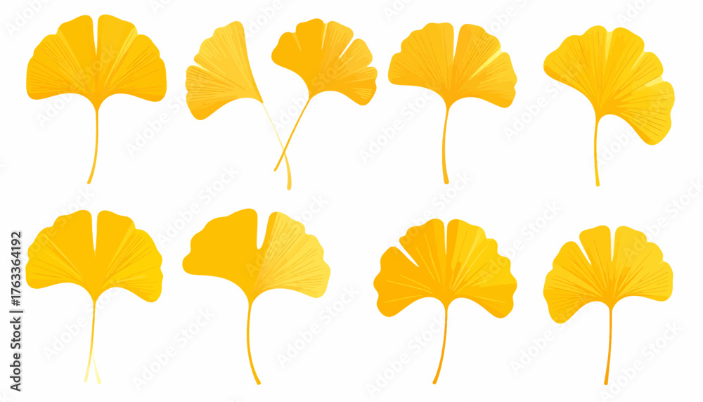Obraz premium A collection of vibrant yellow ginkgo biloba leaves in various shapes, isolated on a white background.