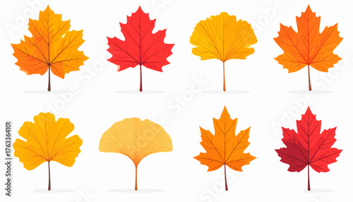 A collection of eight colorful autumn leaves in various shapes and shades of red, orange, and yellow, isolated on a white background.