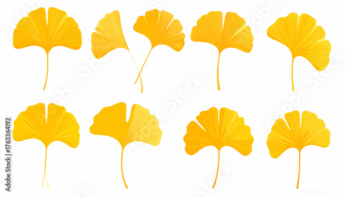 A collection of vibrant yellow ginkgo biloba leaves in various shapes, isolated on a white background.