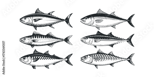 Collection of Six Stylized Fish Illustrations on White