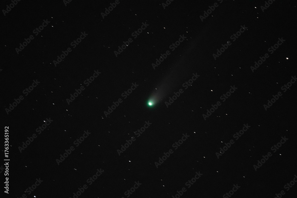 Fototapeta premium Comet Lemmon (C/2019 U6) in the Night Sky – Green Coma and Tail Among the Stars
