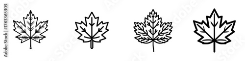 The maple line icon is available in white and black colors and is part of a modern maple collection for use in web, mobile apps, and UI design