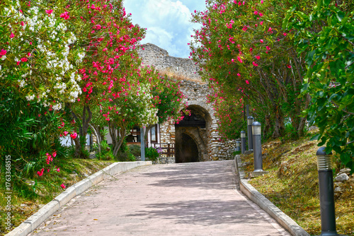 Картината върху платно Die Burg von Patras, Peleppones (Griechenland)