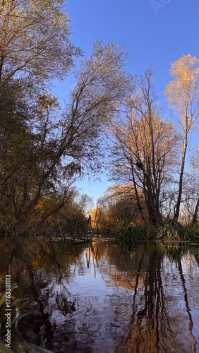 rural river surrounded by trees in autumn