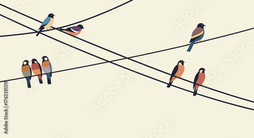 Birds perched on power lines against a light background.