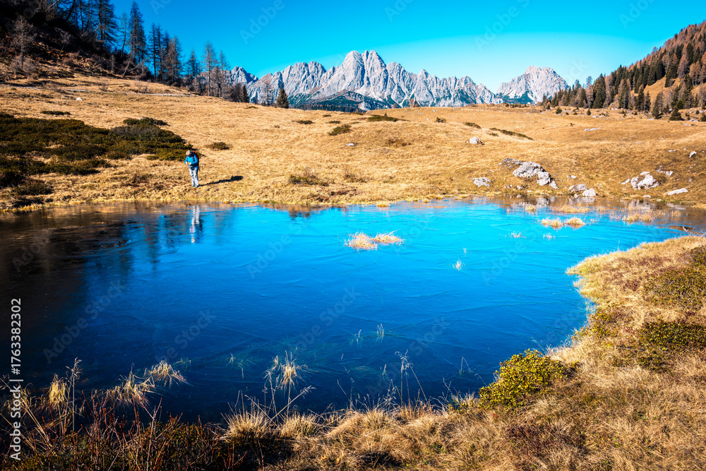 Fototapeta premium Sauris immersed in the magic of autumn. The kingdom of the golden larch.