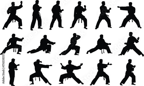 Martial arts silhouette grid, diverse poses and stances, karate taekwondo movement study, cad drawing flat vector illustration, discipline form