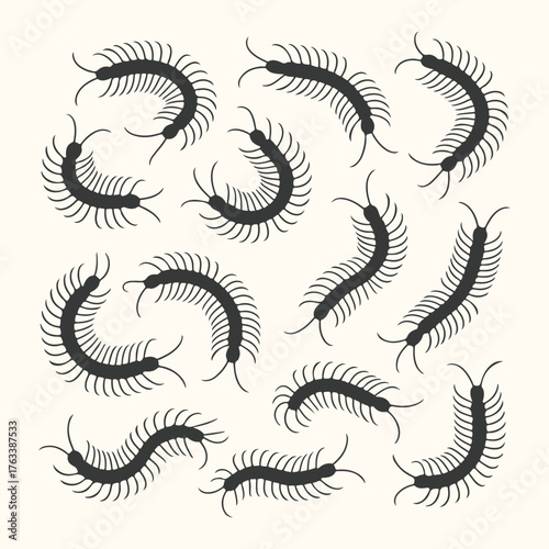 Vector art of a collection of black centipedes in various curved positions, isolated on a