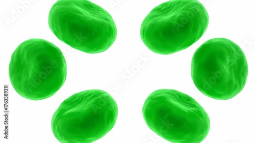 Green sphere moves like liquid on white background. Abstract fluid drop. Organic cell or blob. Science, nature, biology concept footage.