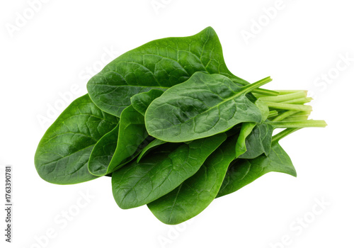 Fotografía Isolated fresh spinach bunch, healthy food, raw and green leaves, salad ingredie