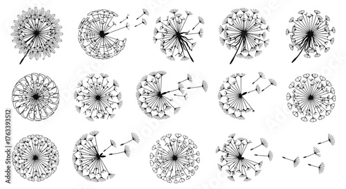Dandelion Seed Head Blowing Puffy Vector Outline Silhouette Set