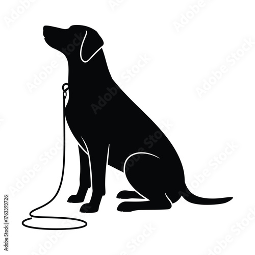 Silhouette of a black labrador retriever dog sitting patiently on a leash
