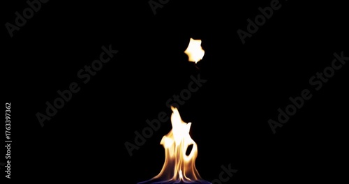 Small torch fire - small camp fire - fire and flames - isolated on black background