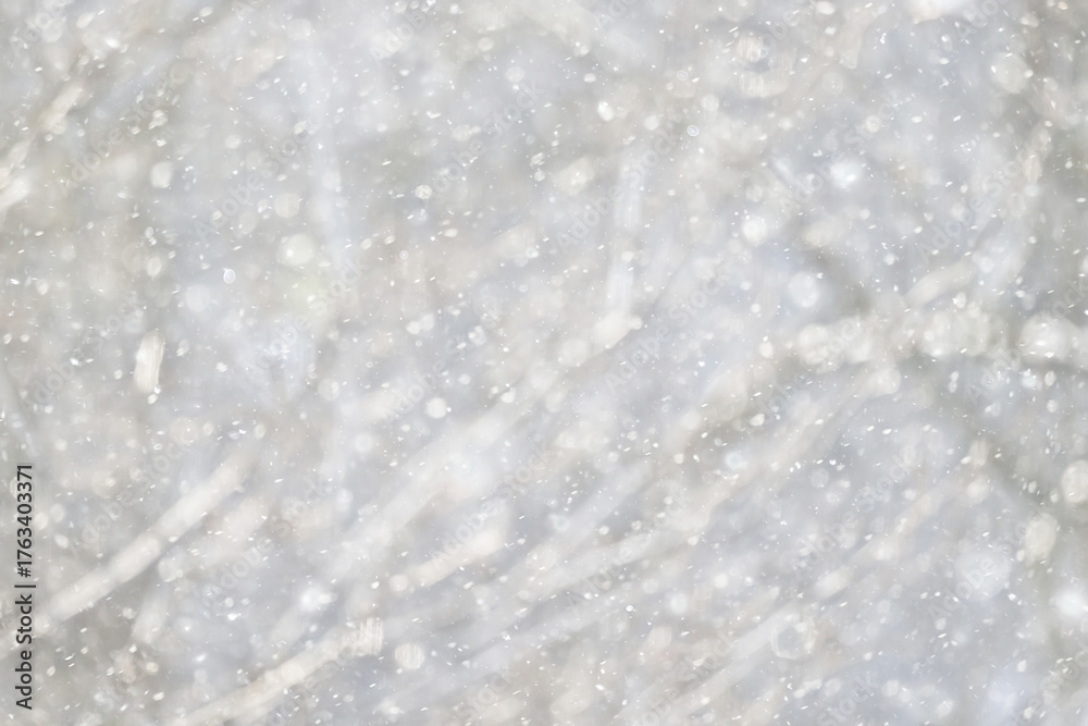 Obraz premium snowfall background, abstract backdrop against blurred winter trees