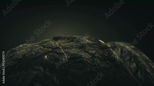 Macro View of Tree Roots - Cinematic 3D Nature Background for Presentation and Title Design