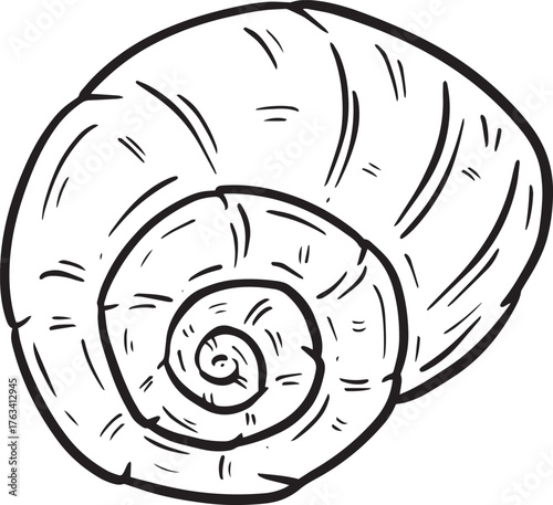 Hand drawn clipart illustration of seashell shell mollusc seaside shellfish