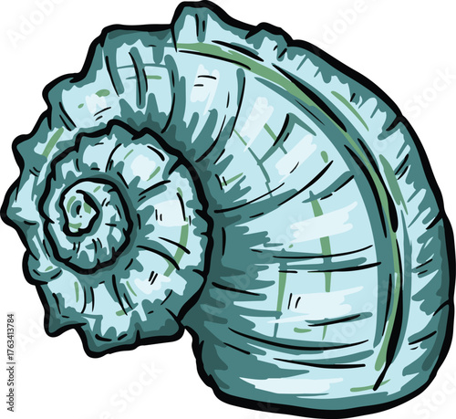 Hand drawn clipart illustration of seashell shell mollusc seaside shellfish