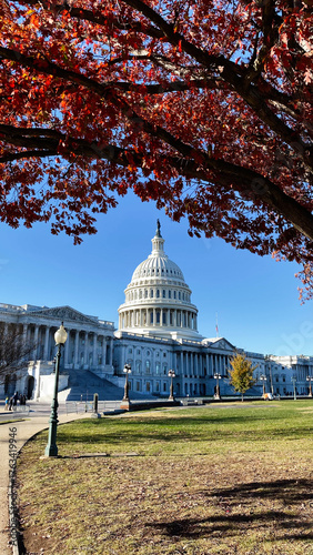Capitol building in Washington DC with autumn red leaves framing the dome and blue sky