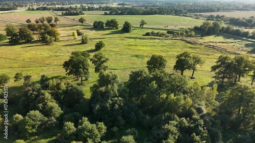 Wallpaper Mural Green Meadows and Farmlands with Scattered Trees in Polish Countryside – Aerial Drone View Torontodigital.ca