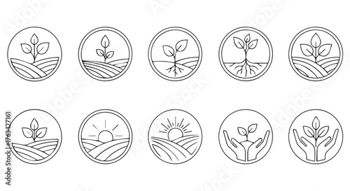 Whisk_08904bc9332e85c8fec41a5ef2309fbadr