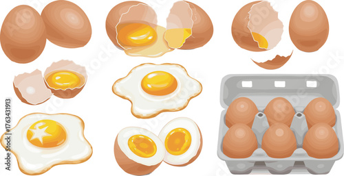 Fresh brown eggs and fried egg illustrations, cracked egg collection with yolk and carton box, realistic breakfast food vector design concept