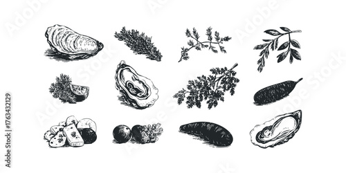 Seafood and Botanicals Collection Line Drawing