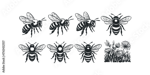 Collection of stylized bees and wildflowers in black and white