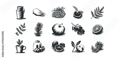 Line art collection of fresh fruits and leaves