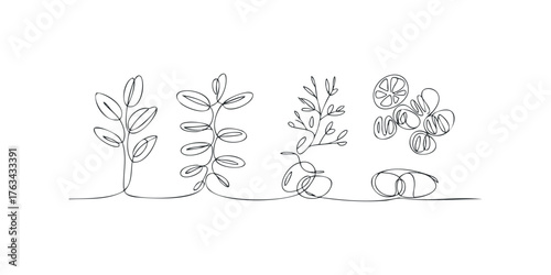 Minimalist line drawing of plants and fruit slices