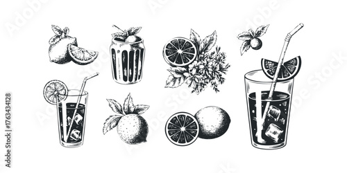 Citrus drinks with mint and ice in sketch style