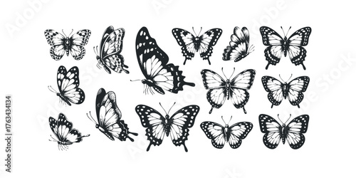 Collection of Black and White Butterfly Illustrations